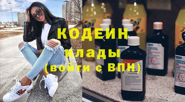 хмурый Алексин