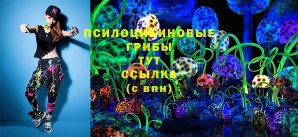 молекула духа Алексеевка