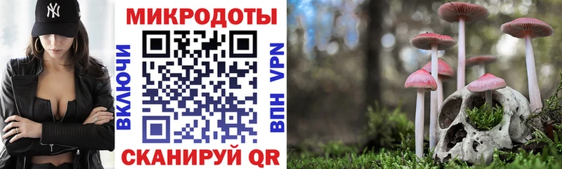 Галлюциногенные грибы GOLDEN TEACHER Нея